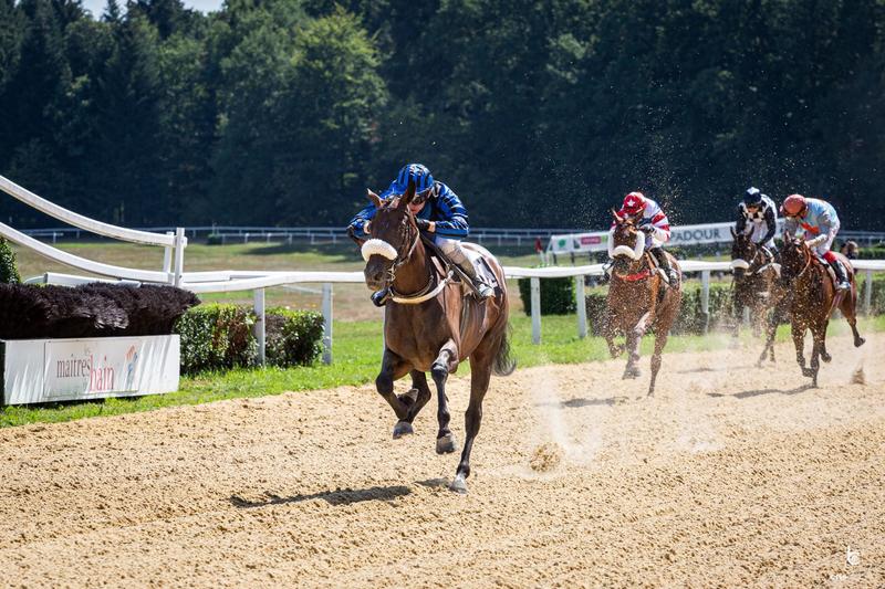 Courses hippiques : journée Race and Care