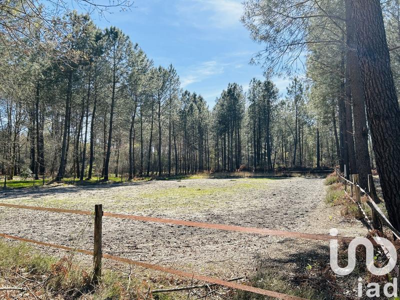 Maison - 205 m² - 6 pièces