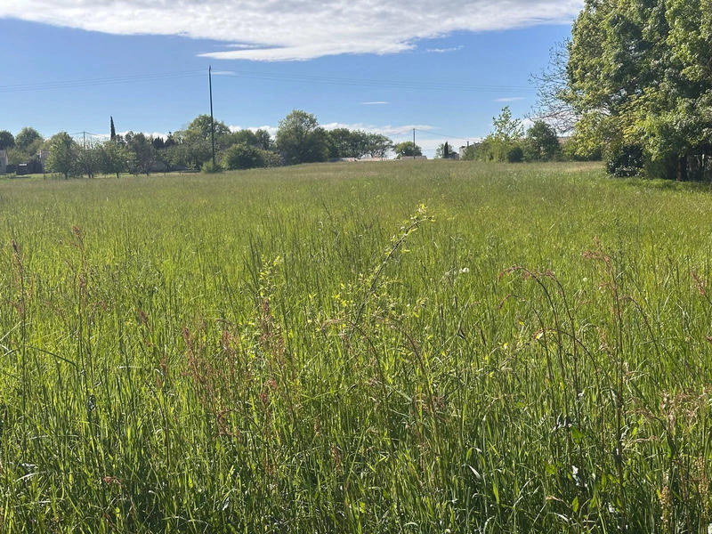 Terrain agricole - 7 420 m²