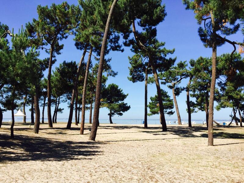 Terrain constructible - 866 m²