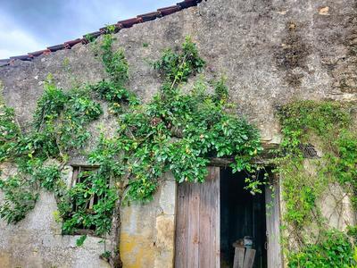 Maison - 221 m² - 6 pièces