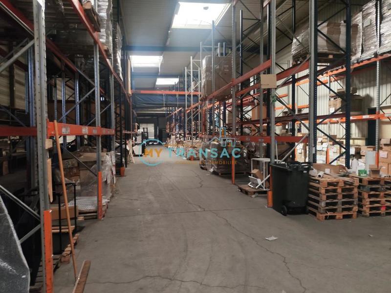 Local d'activité / Entrepôt - 3 699 m²