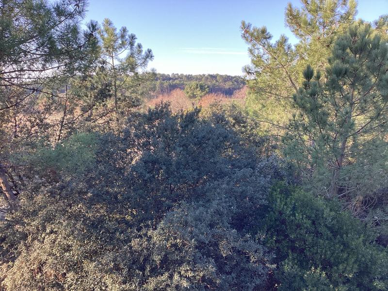 Appartement - 75 m² - 4 pièces