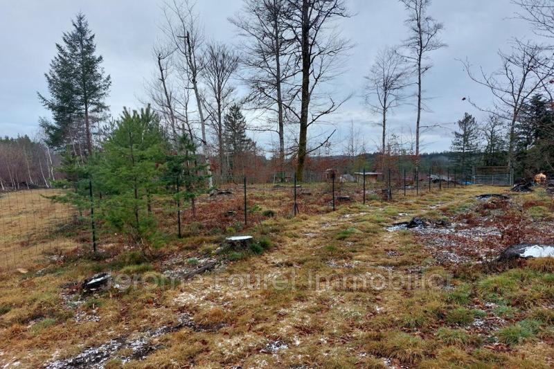 Propriété - 70 m² - 2 pièces