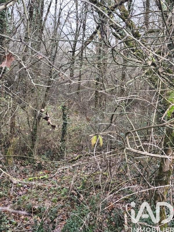 Terrain - 405 918 m²