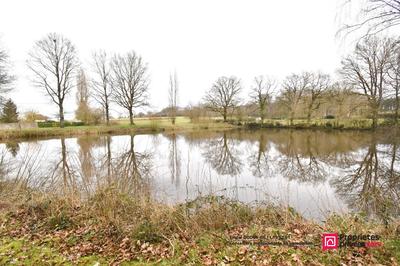 Terrain de loisirs - 11 556 m²