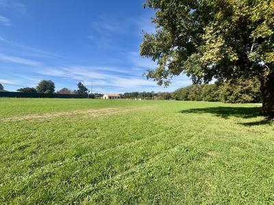 Terrain - 10 940 m²