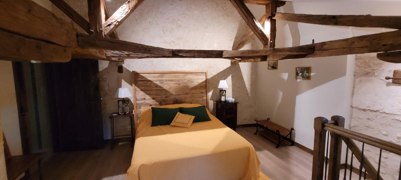 Viager - Maison - 515 m² - 17 pièces