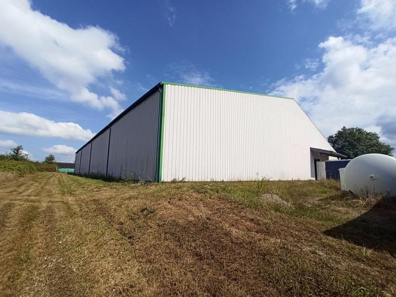 Entrepôt - 2 000 m²