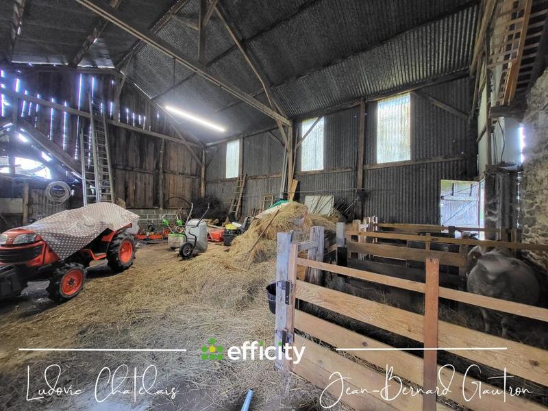 Maison en pierre - 193 m² - 5 pièces