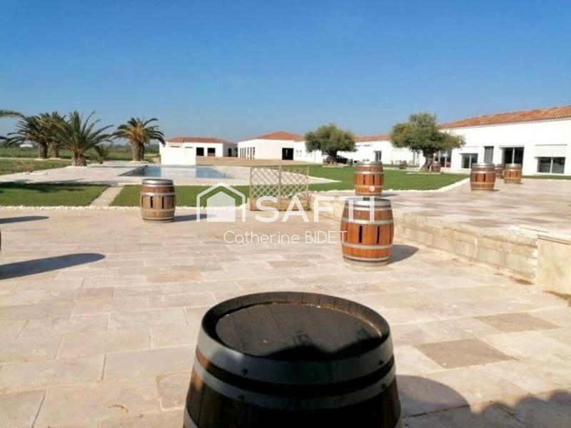 Maison - 500 m² - 9 pièces