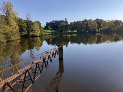 Terrain - 300 000 m²