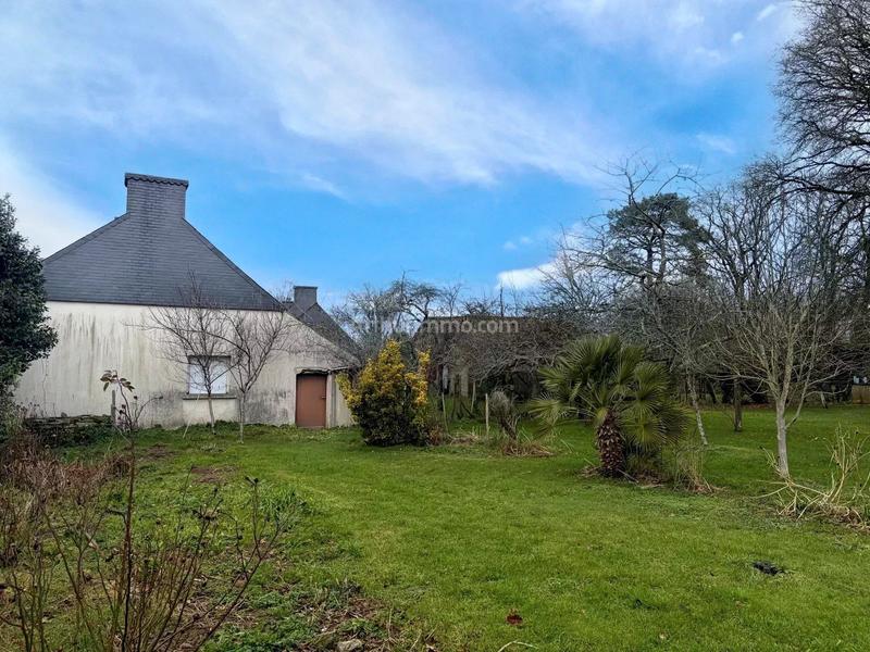 Maison - 61 m² - 2 pièces