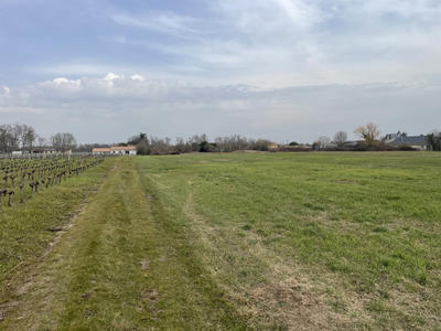 Terrain - 630 m²