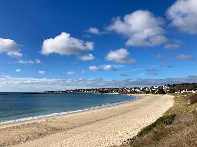 Appartement - 64 m² - 2 pièces