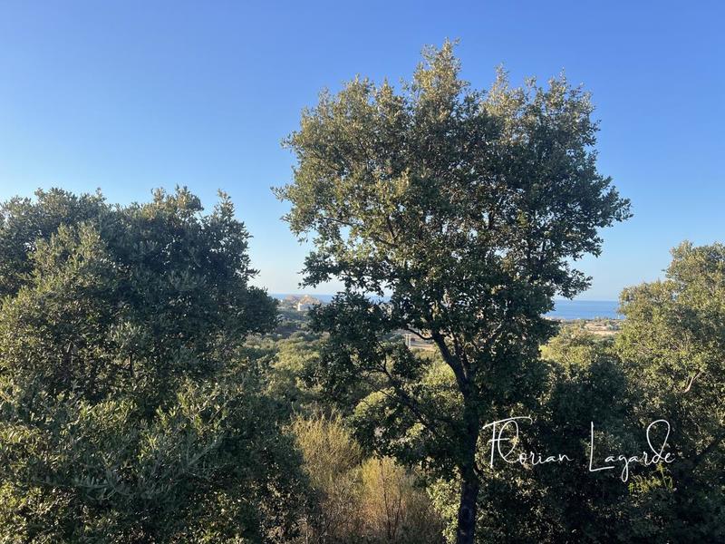 Maison - 50 m² - 1 pièce