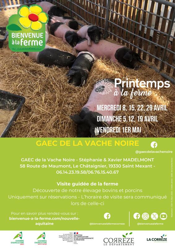Gaec de la Vache Noire - Printemps à la ferme