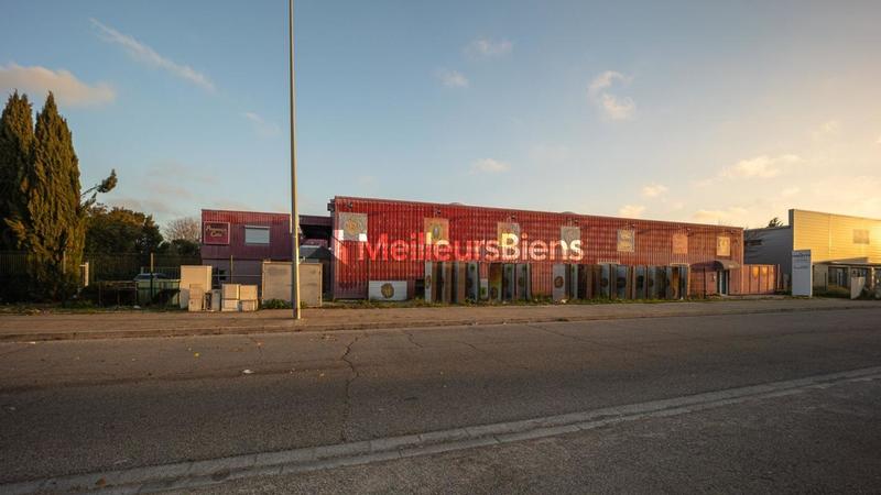 Local d'activité / Entrepôt - 2 900 m²