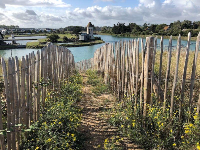 Visite guidée : un port, une île, des huîtres, une histoire courseullaise