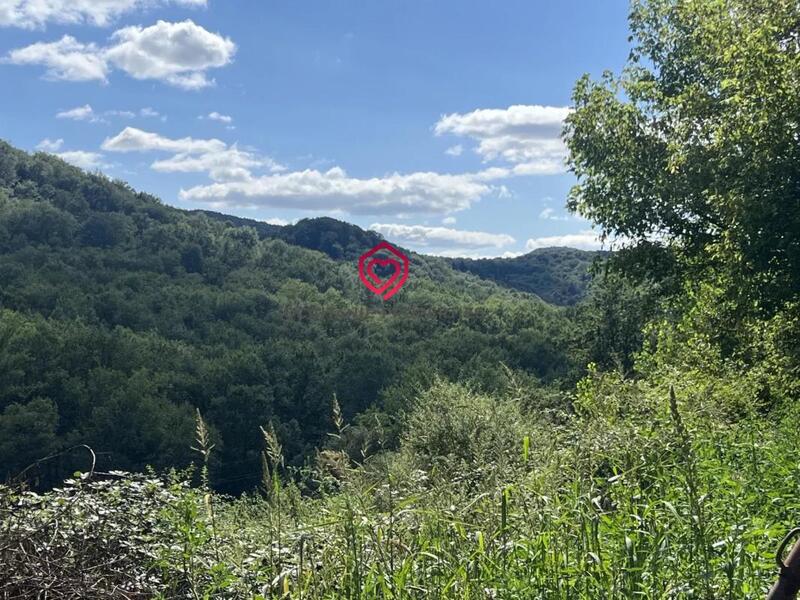 Propriété - 271 m² - 7 pièces