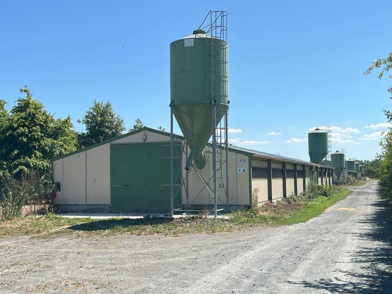 Ferme - 118 m² - 5 pièces