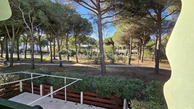 Studio - 26 m² - 1 pièce