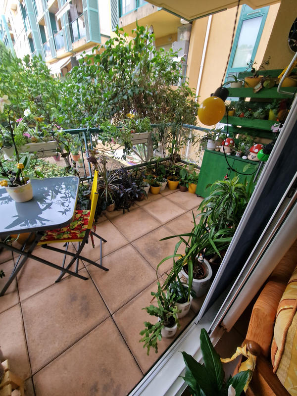 Viager - Appartement - 38 m² - 2 pièces