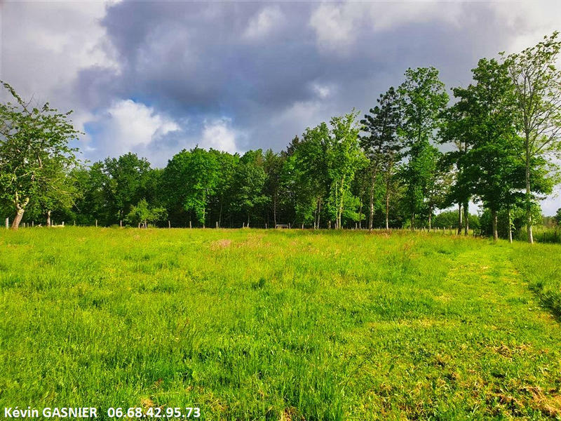 Terrain - 19 380 m²