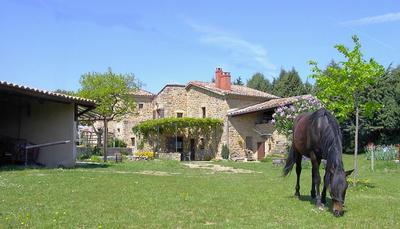 Maison en pierre - 118 m² - 8 pièces