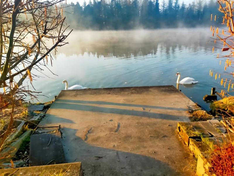 Maison - 211 m² - 7 pièces