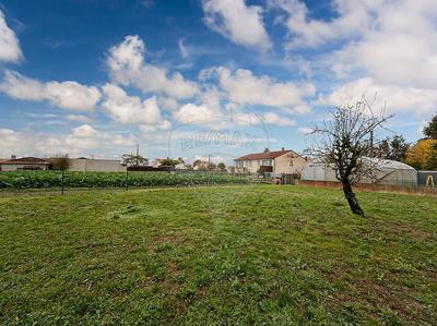 Terrain - 251 m²