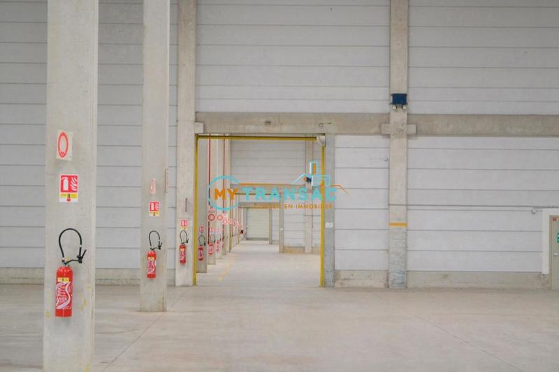 Entrepôt - 32 863 m²