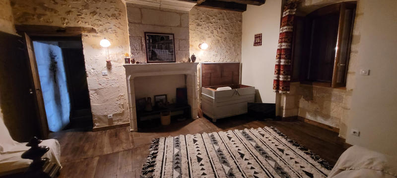 Viager - Maison - 515 m² - 17 pièces