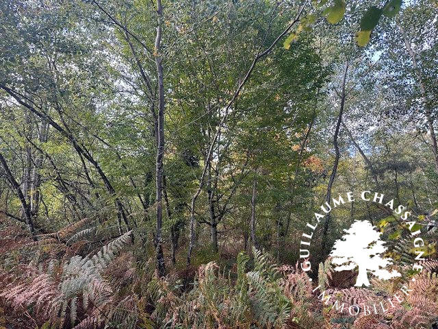 Terrain - 15 870 m²