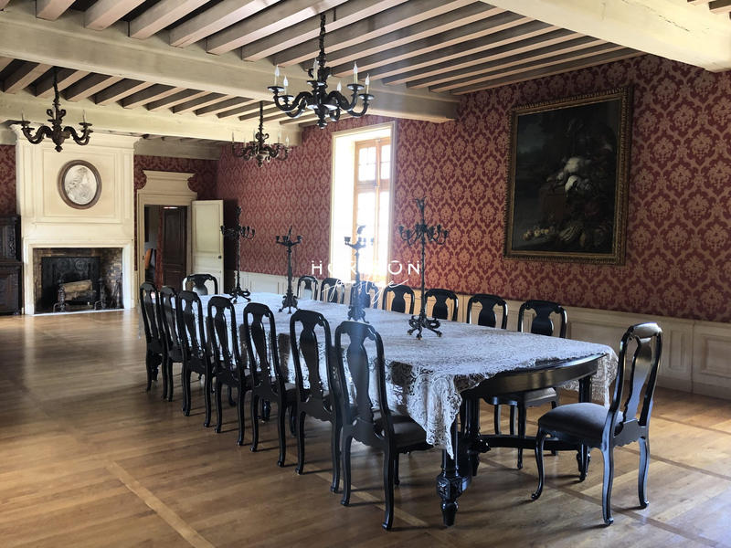 Château - 1 500 m² - 20 pièces
