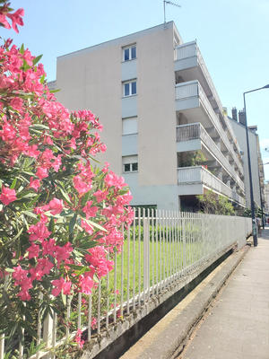 Appartement - 30 m² - 1 pièce