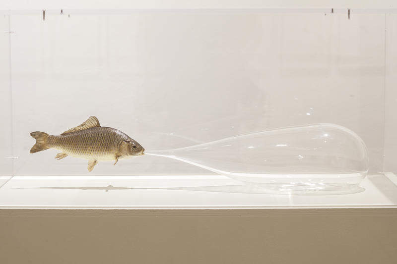 Saison d’art au Domaine Régional de Chaumont