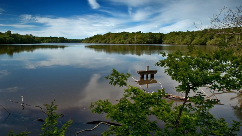 Manoir - 2 800 m² - 50 pièces