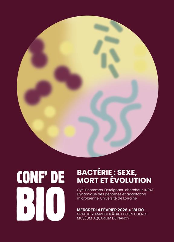 Conférence - Bactérie: sexe, mort et évolution