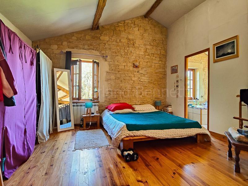 Maison en pierre - 287 m² - 9 pièces