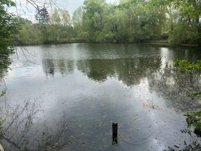 Maison ancienne - 230 m² - 10 pièces