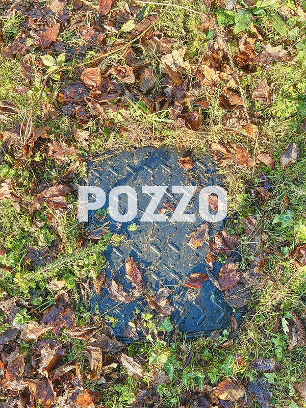 Terrain - 10 984 m²