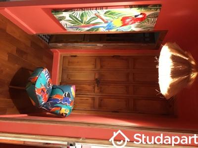 Appartement - 50 m² - 2 pièces