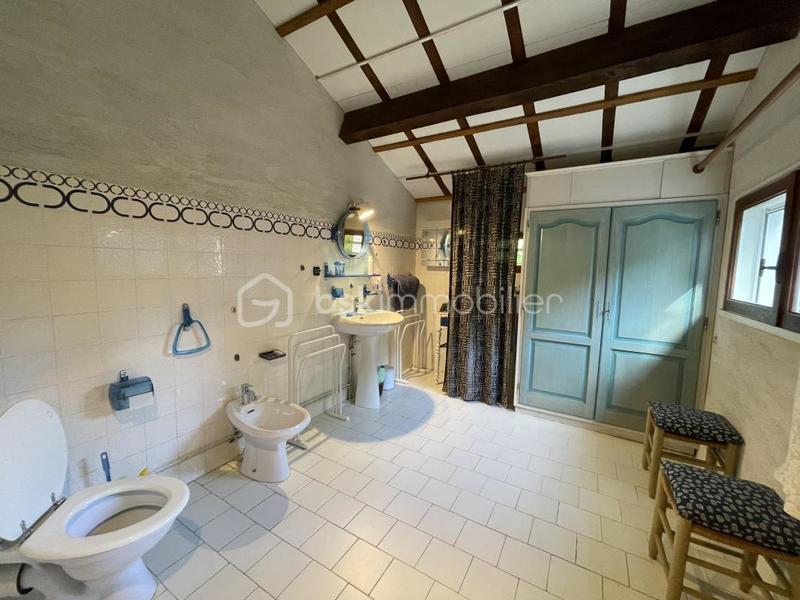 Maison en pierre - 366 m² - 6 pièces