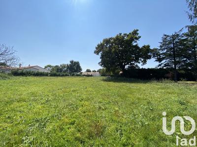 Terrain - 1 245 m²