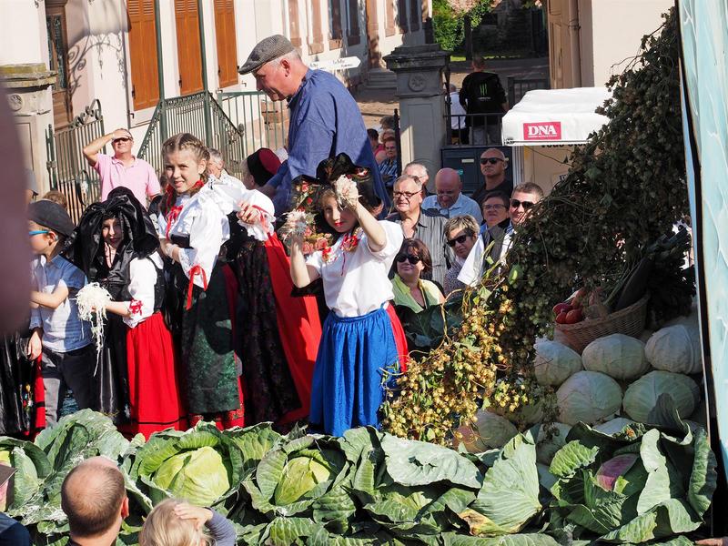 51e Fête de la choucroute-Sürkrütfecht