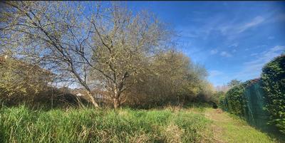 Terrain - 570 m²