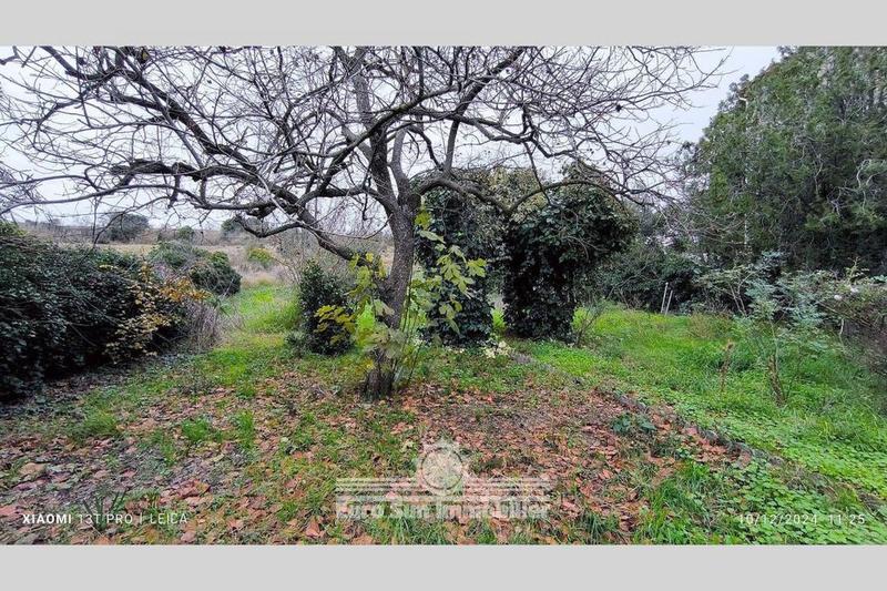 Maison de village - 100 m² - 4 pièces