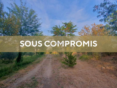 Terrain commercial - 17 000 m²