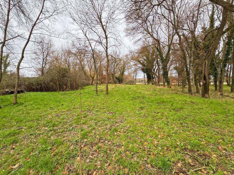 Maison - 188 m² - 5 pièces